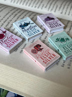 Mini Magnet Chestnut Springs Books (set of 5 mini books)