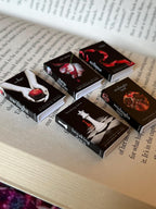 Mini Twilight Books (set of 5 mini books)