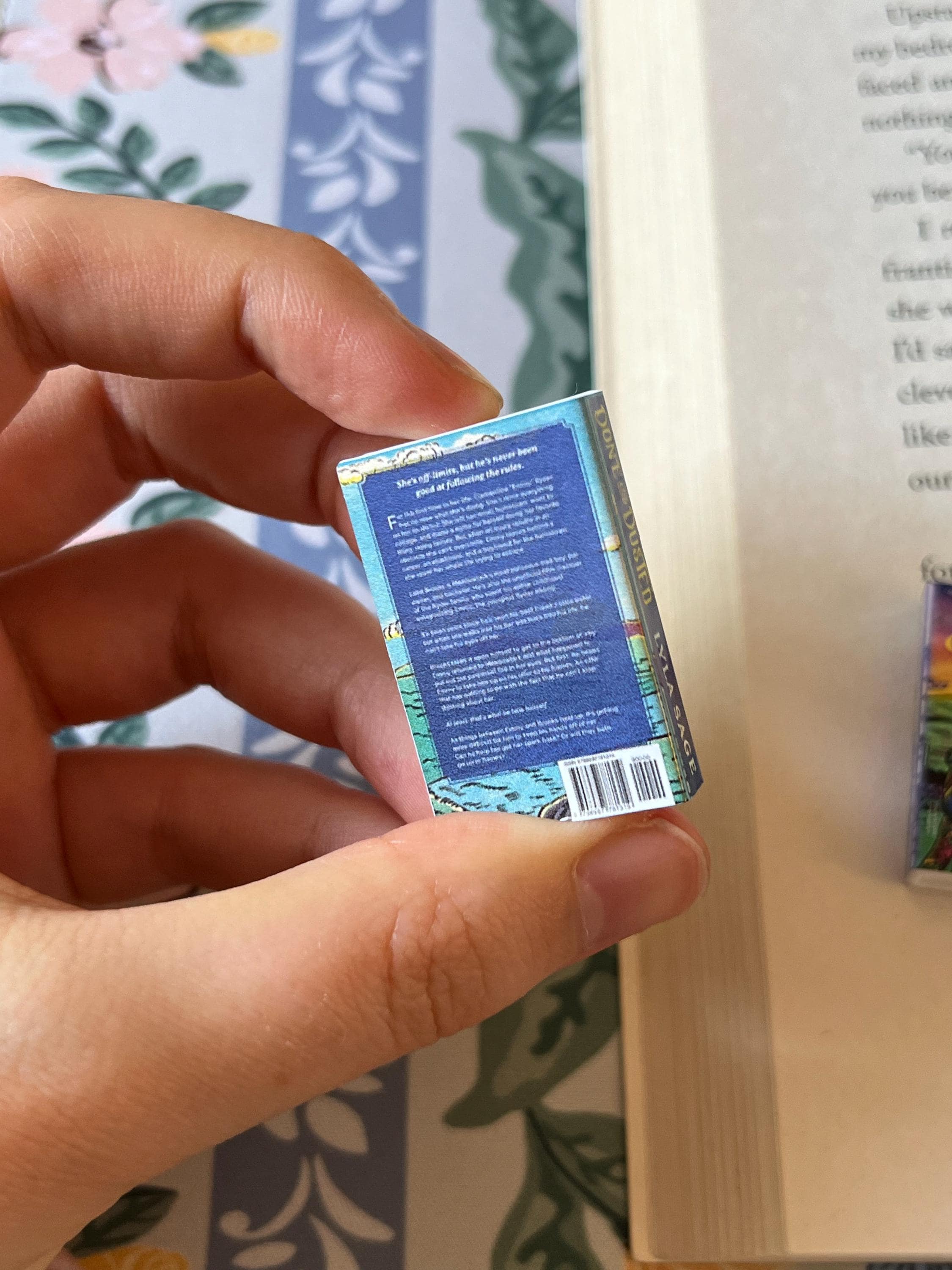 Mini Done and Dusted Books (set of 4 mini books)
