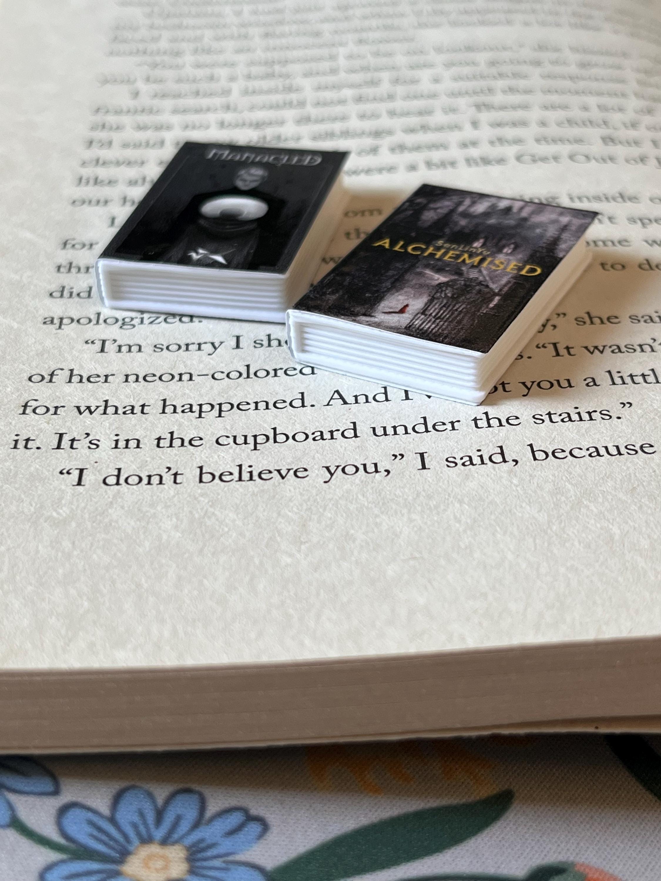 Mini Magnet Senlinyu Books (set of 2 mini books)