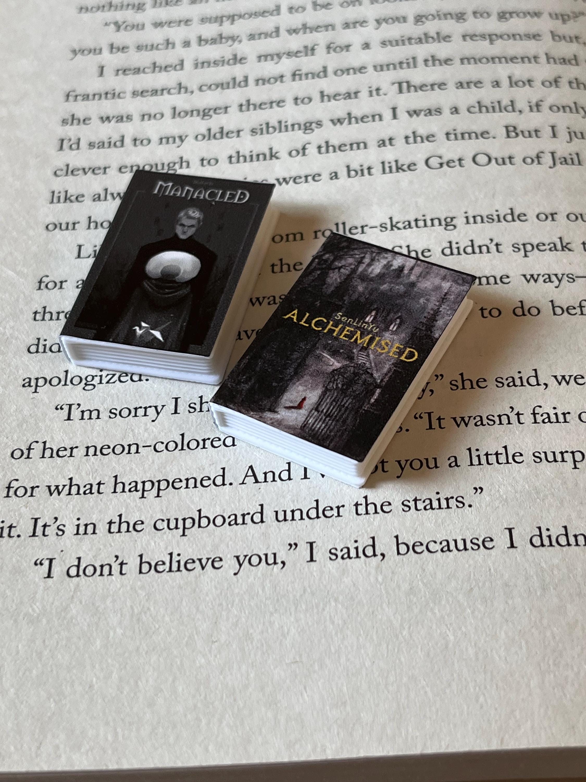 Mini Magnet Senlinyu Books (set of 2 mini books)