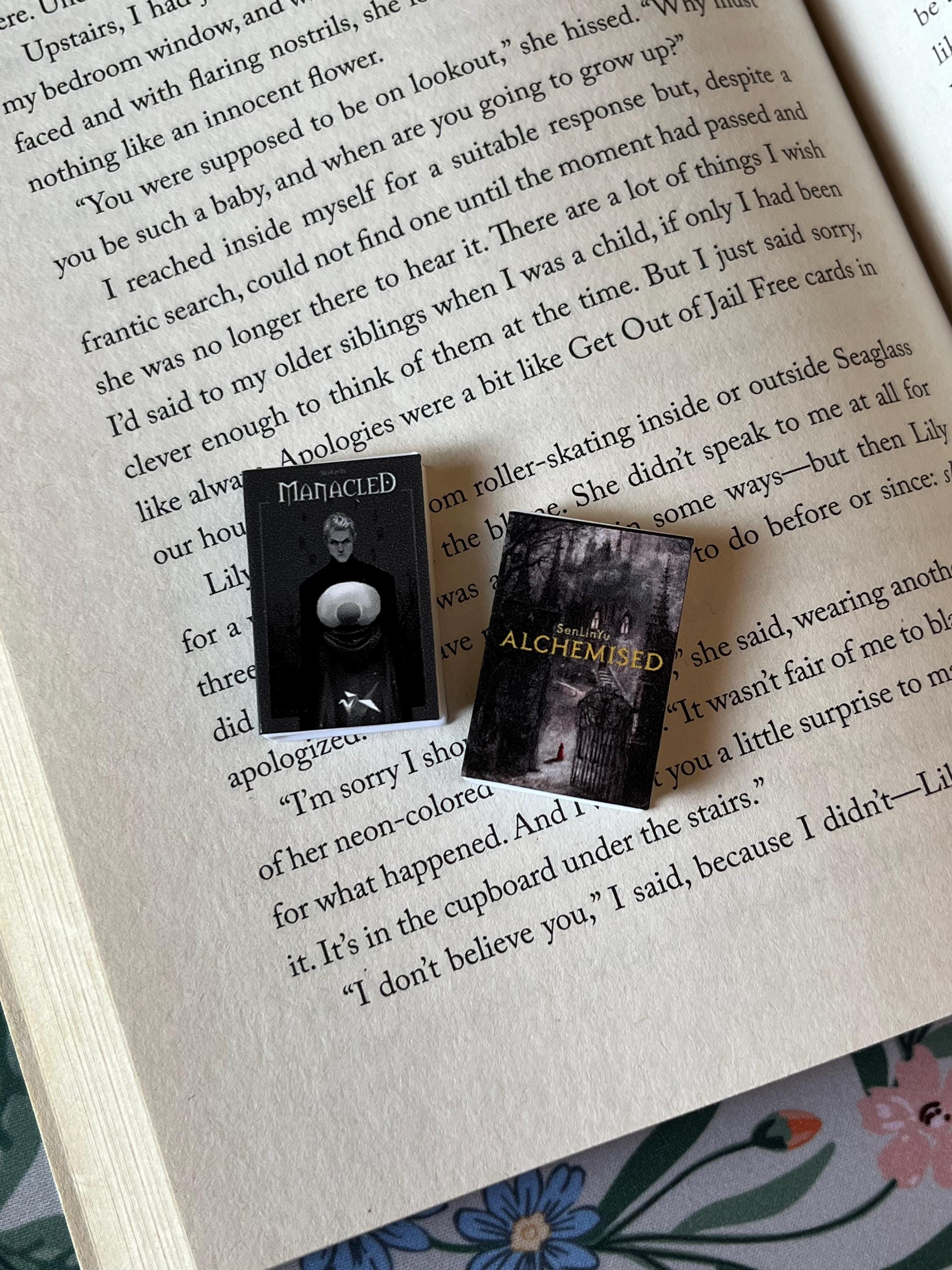 Mini Magnet Senlinyu Books (set of 2 mini books)