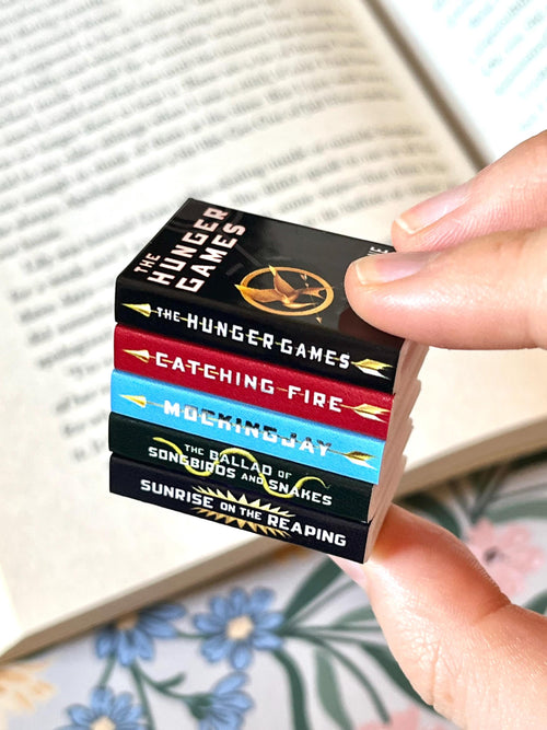 Mini Magnet Hunger Games Books (set of 5 mini books)