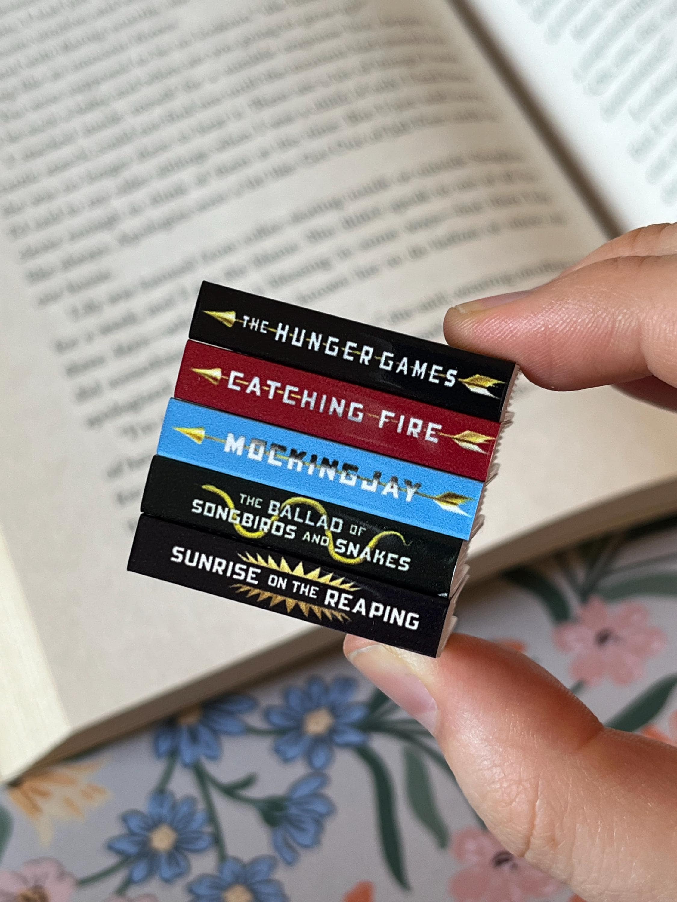 Mini Hunger Games Books (set of 5 mini books)