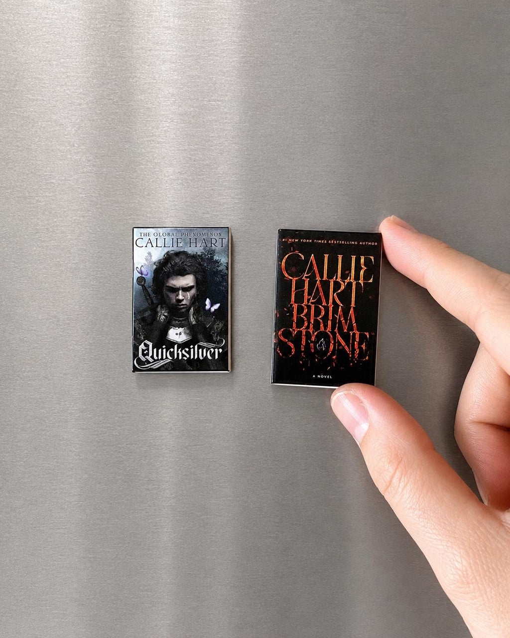 Mini Magnet Quicksilver Books (set of 2 mini books)