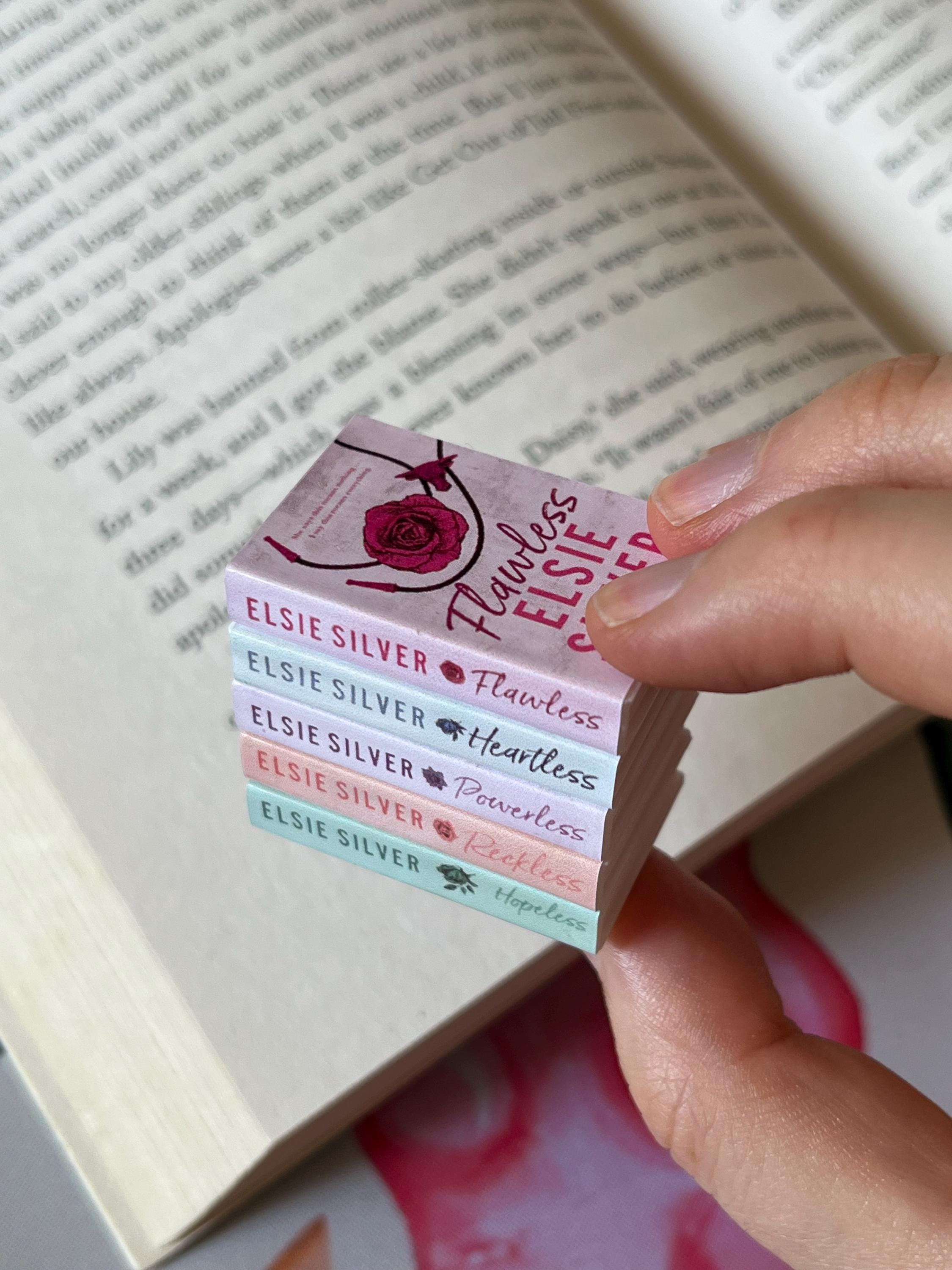 Mini Magnet Chestnut Springs Books (set of 5 mini books)