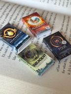 Mini Magnet Divergent Books (set of 4 mini books)