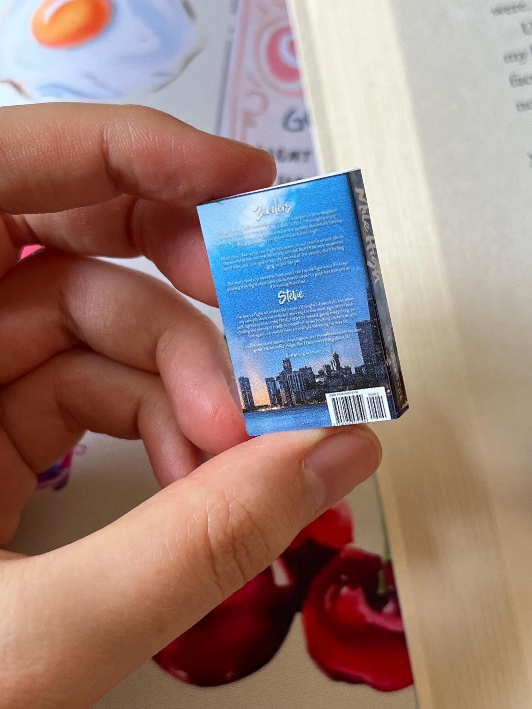 Mini Magnet Windy City Books (set of 5 mini books)