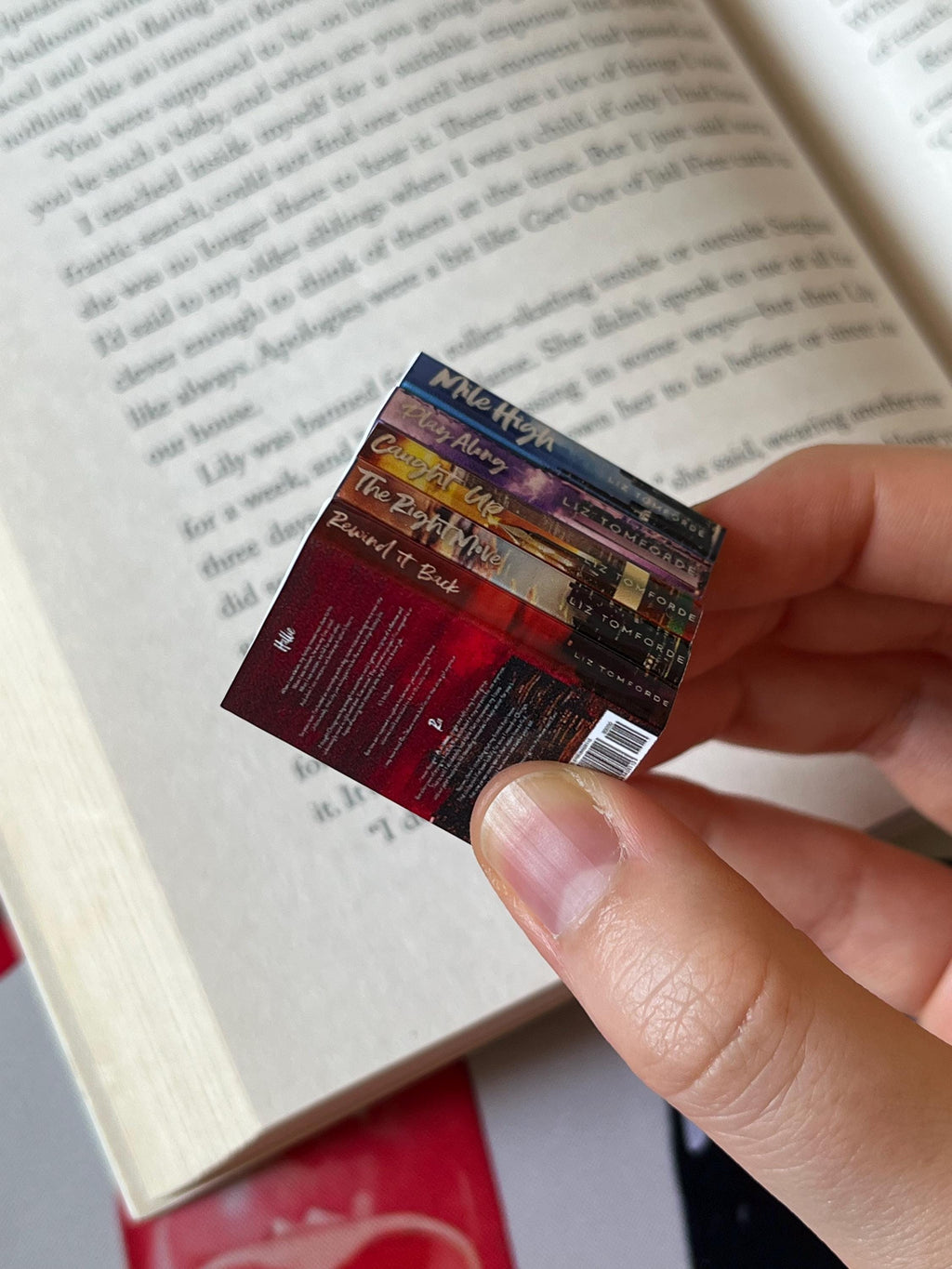 Mini Magnet Windy City Books (set of 5 mini books)