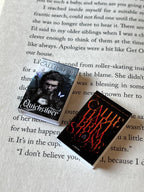 Mini Quicksilver Books (set of 2 mini books)