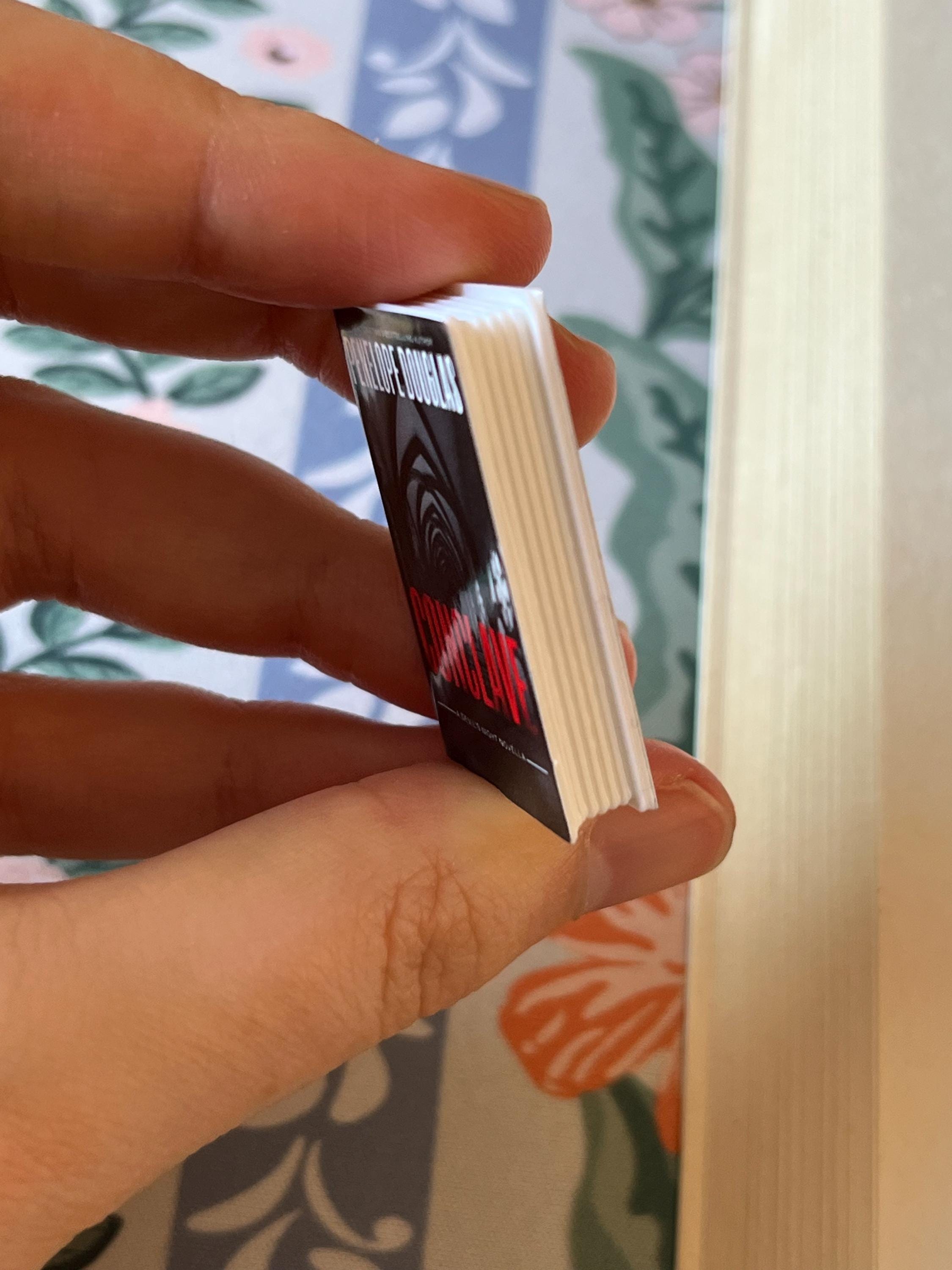 Mini Corrupt Books (set of 6 mini books)