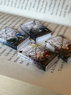 Mini Magnet Crowns of Nyaxia Books (set of 4 mini books)