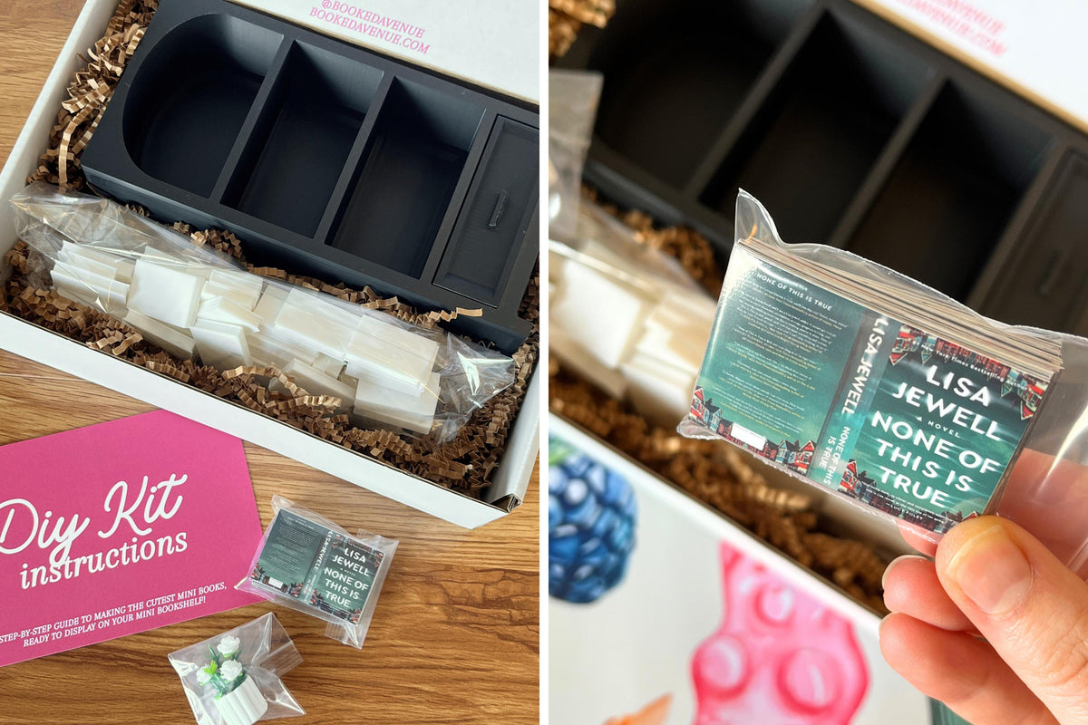 DIY Thriller Mini Bookshelf Kit