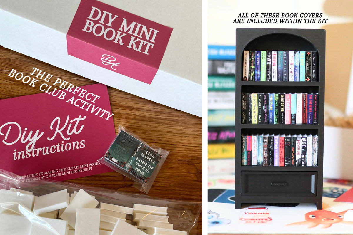 DIY Thriller Mini Bookshelf Kit