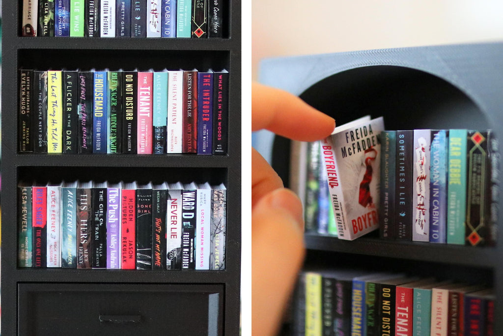 DIY Thriller Mini Bookshelf Kit