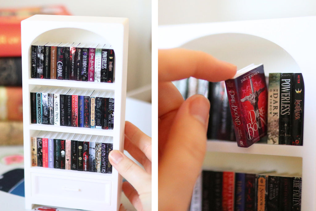 DIY Romantasy Mini Bookshelf Kit