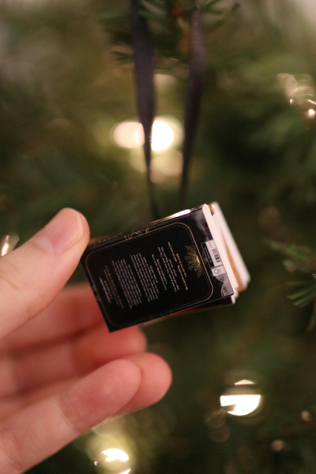 Fourth Wing Mini Book Ornament