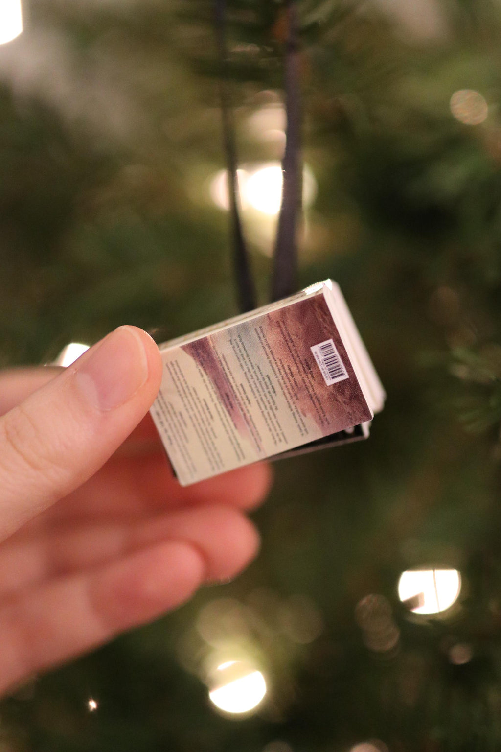 Alex Michaelides Mini Book Ornament