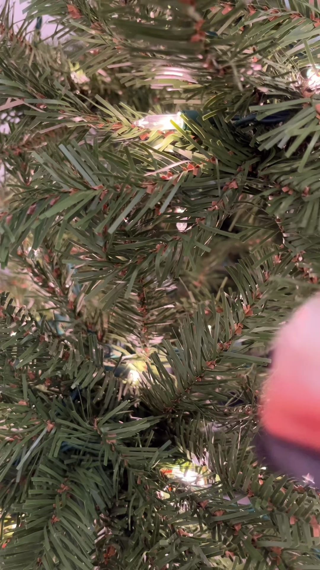 Fourth Wing Mini Book Ornament