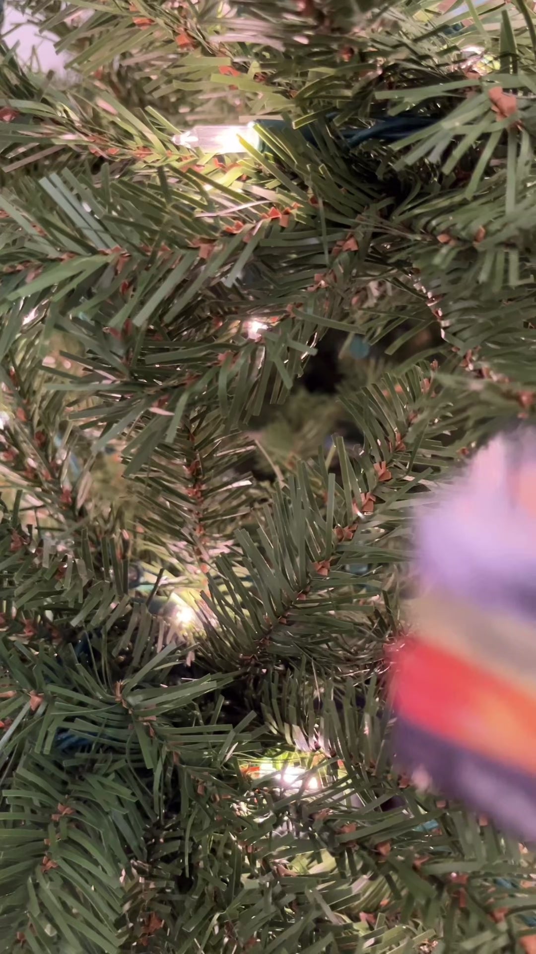 Divergent Mini Book Ornament