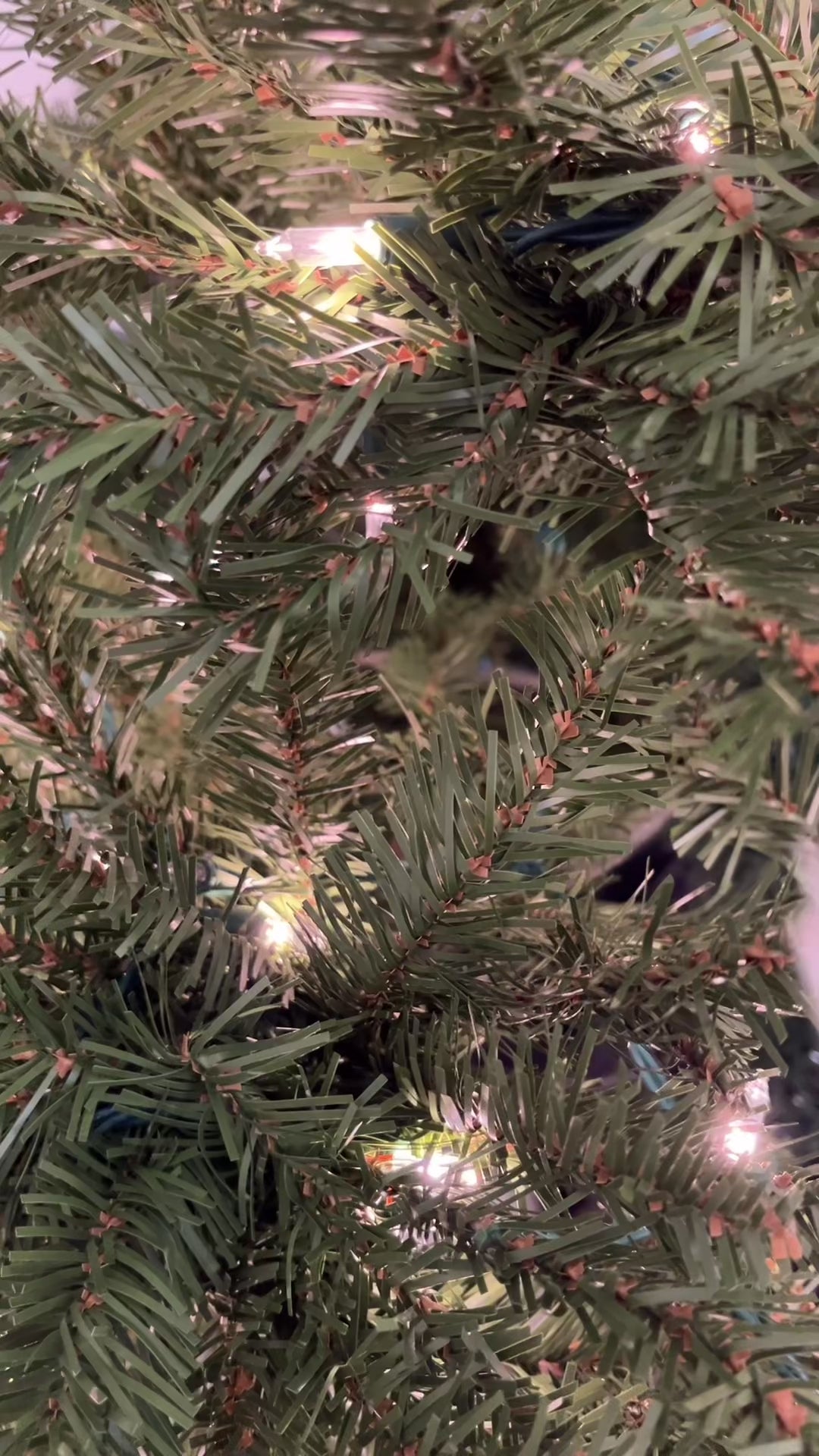 Caraval Mini Book Ornament