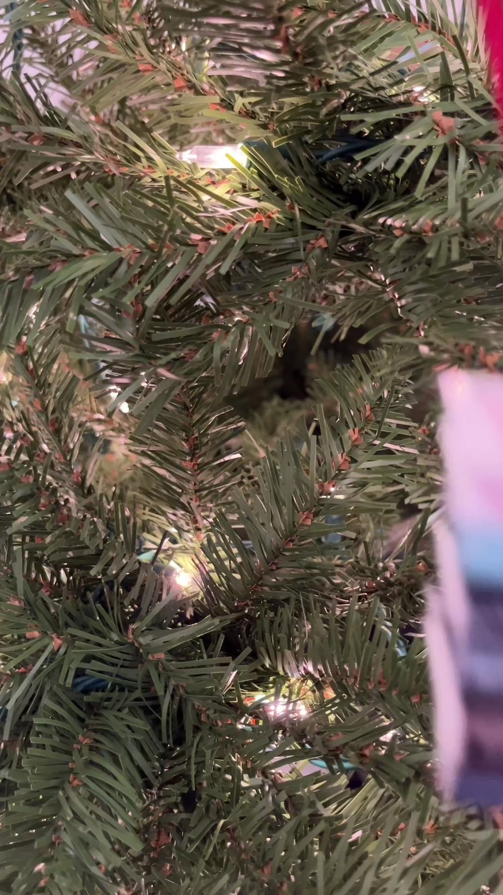 Alice Feeney Mini Book Ornament