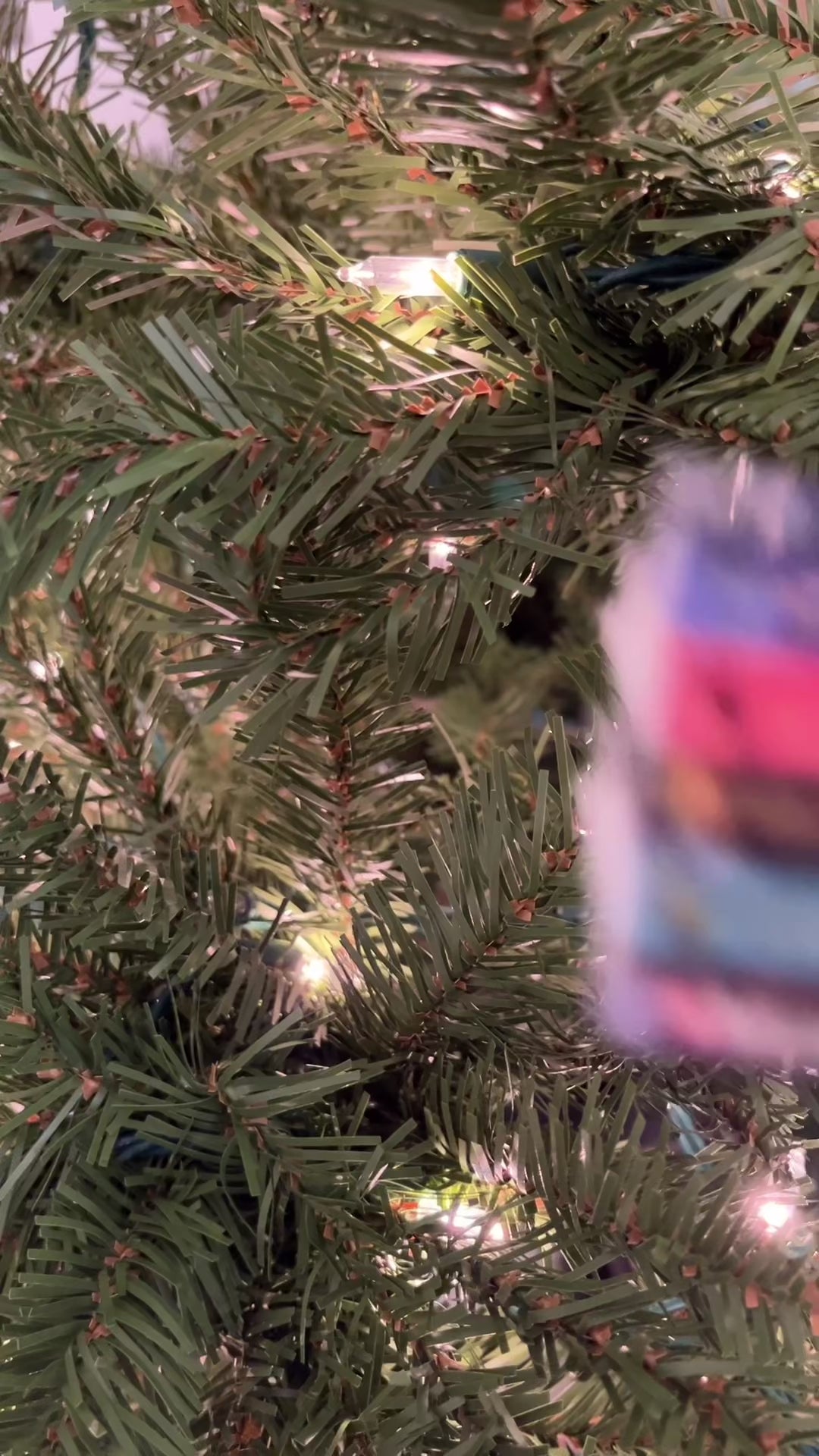 The Inheritance Cycle Mini Book Ornament