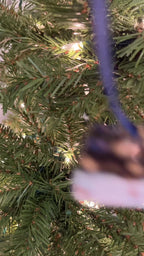 Divine Rivals Mini Book Ornament