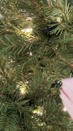 AGGGTM Mini Book Ornament